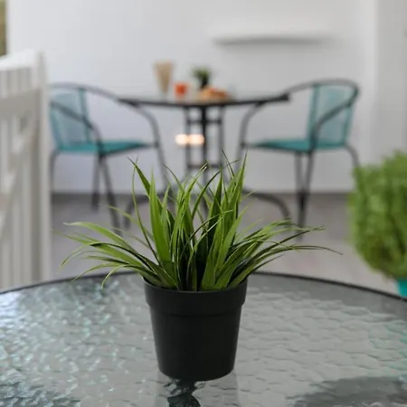Apartment Anemela Lux