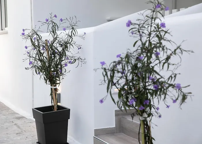 Anemela Lux Apartment