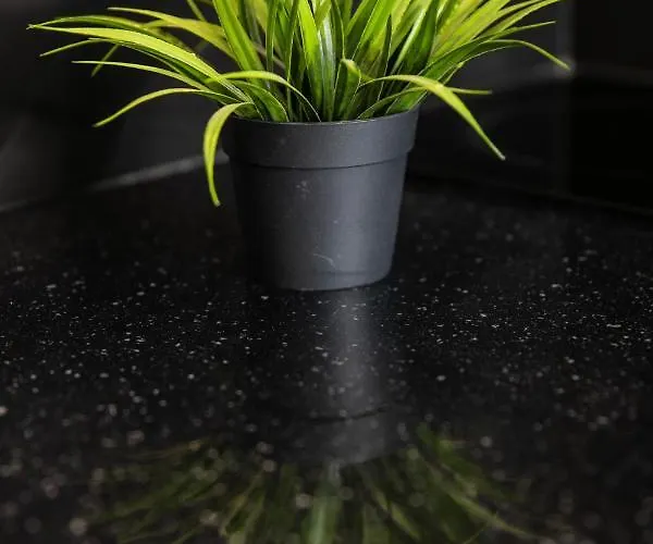 Anemela Lux Apartment *